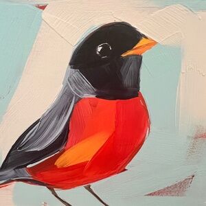 Robin bird